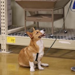 photograph by PeterW